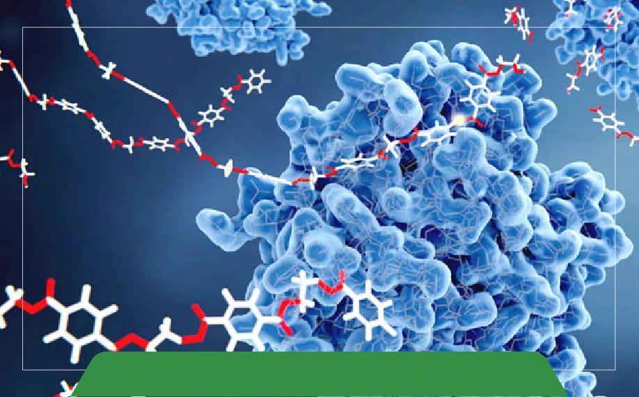 Exploring the Gel Documentation System: A Broad Overview