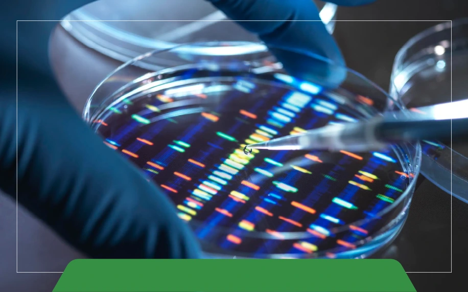 What is a centrifuge and what does a laboratory centrifuge do? 