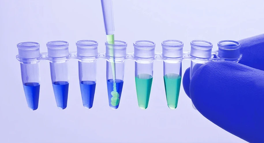 ریل تایم پی سی آر