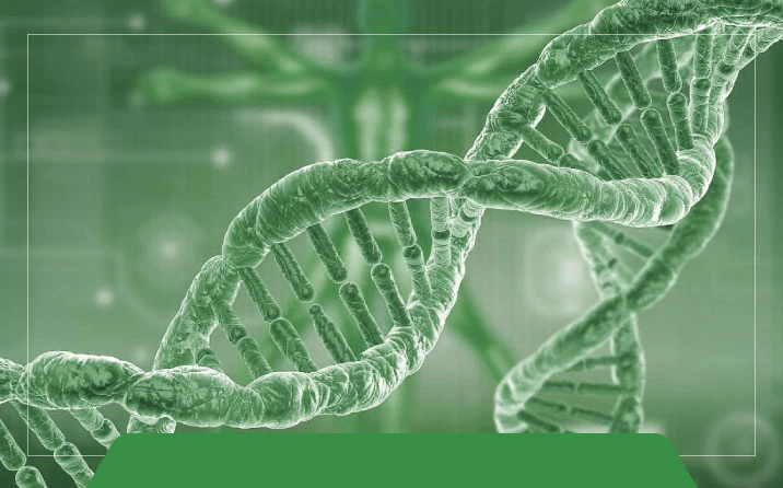 What is a thermal cycler?