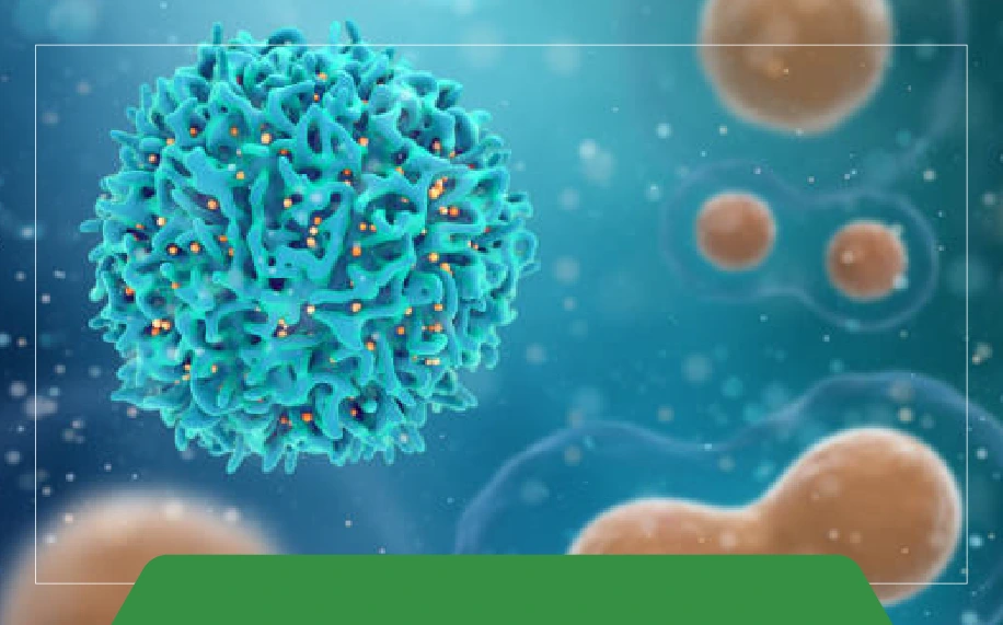 How to Choose the Right Thermal Cycler for Your Laboratory?