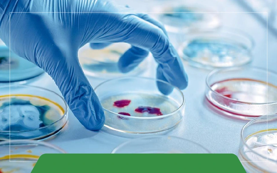 How to Clean and Maintain Gel Electrophoresis Apparatus? 