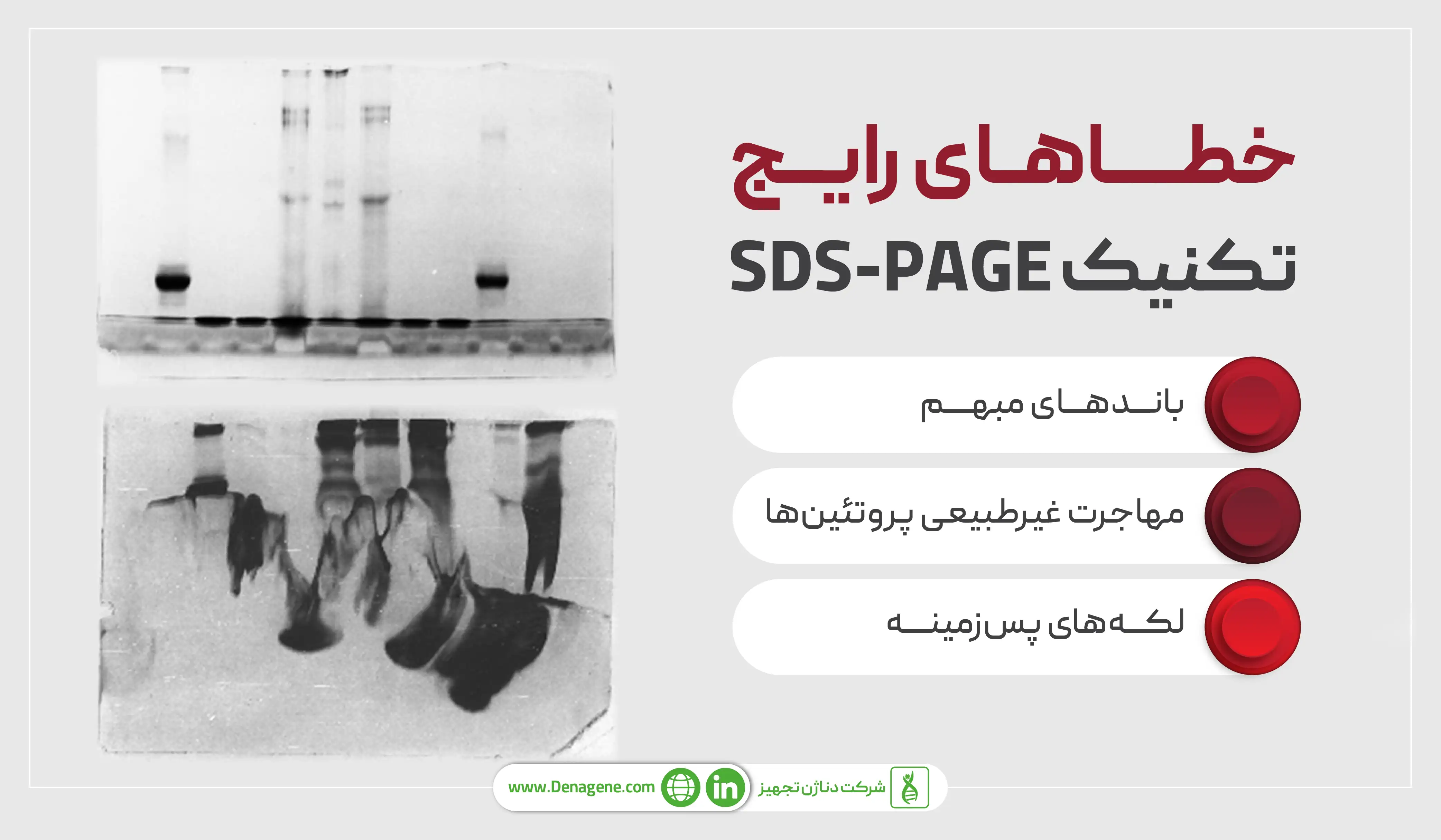 خطاهای رایج تکنیک SDS-PAGE در آزمایشگاه