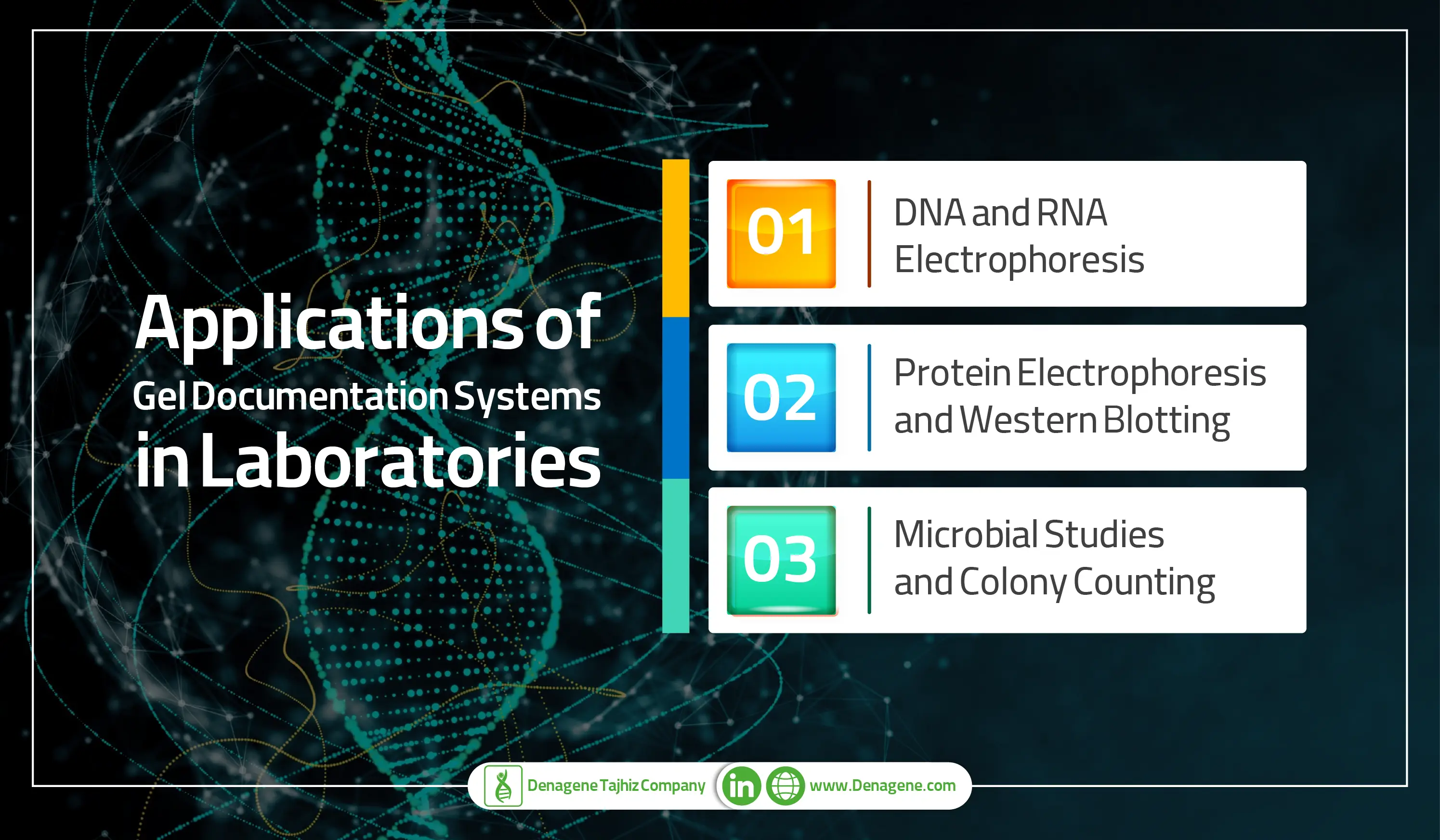 Applications of gel documentation systems in laboratories