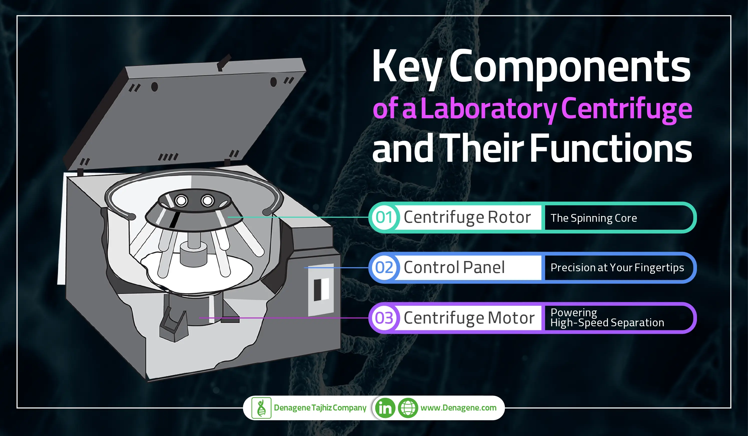 key components of a laboratory centrifuge and their functions 