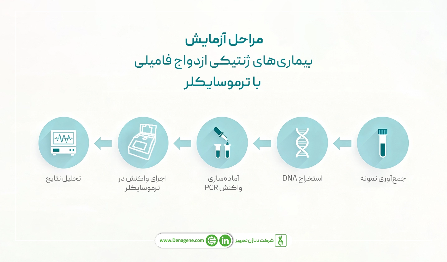 مراحل انجام آزمایش های ژنتیکی با ترموسایکلر 