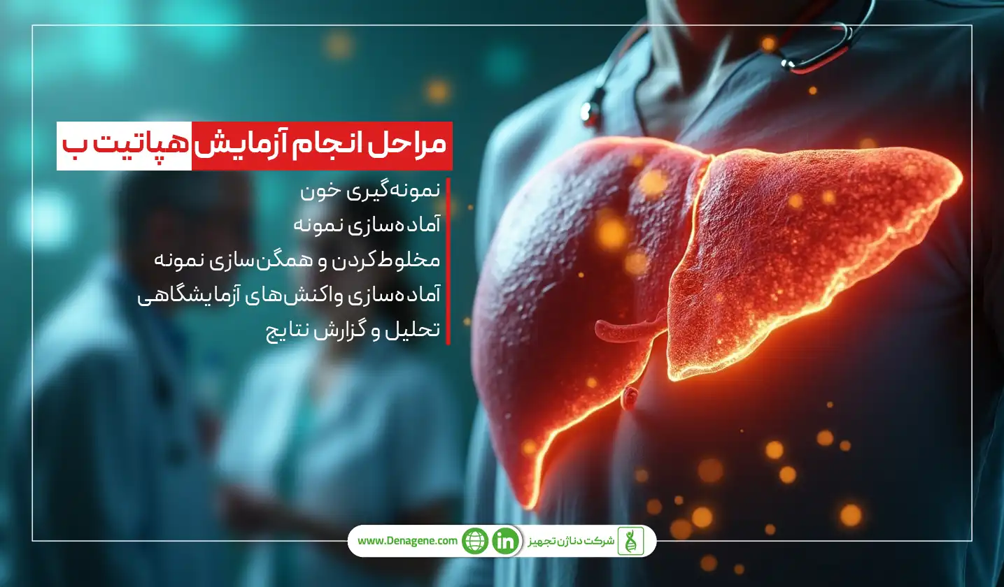 مراحل انجام آزمایش هپاتیت ب