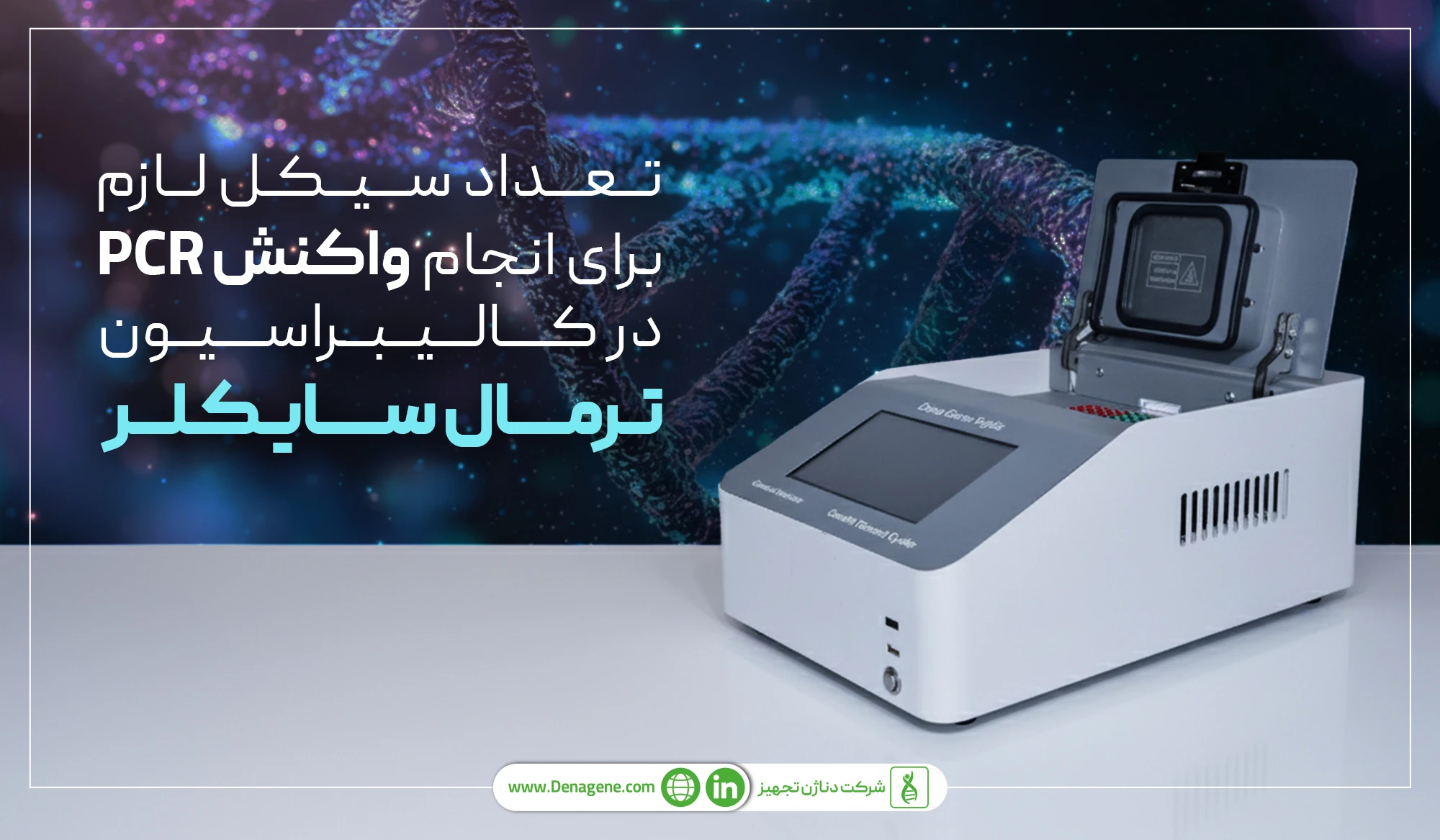 تعداد-سیکل-لازم-برای-انجام-واکنش-پی-سی-آر 