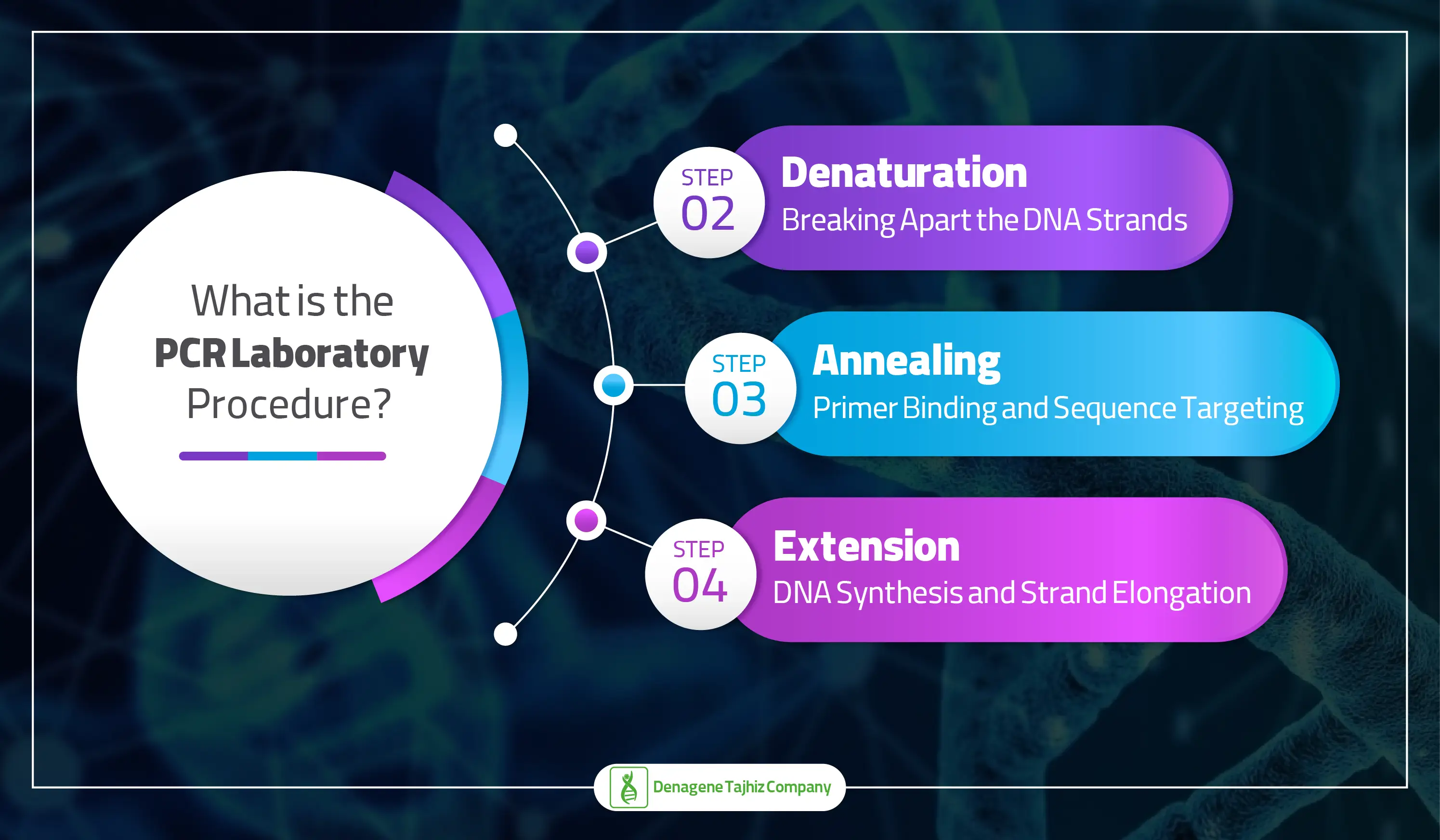 What is the PCR laboratory procedure? 