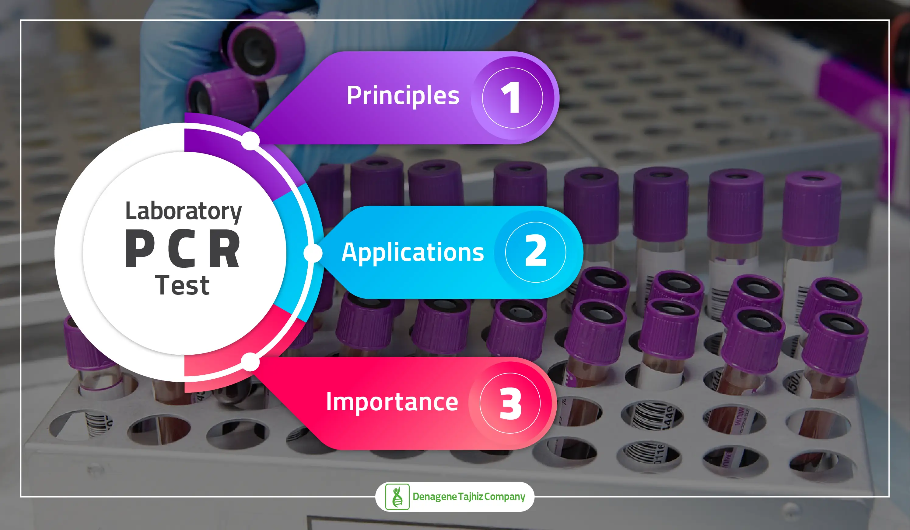 Laboratory PCR Test
