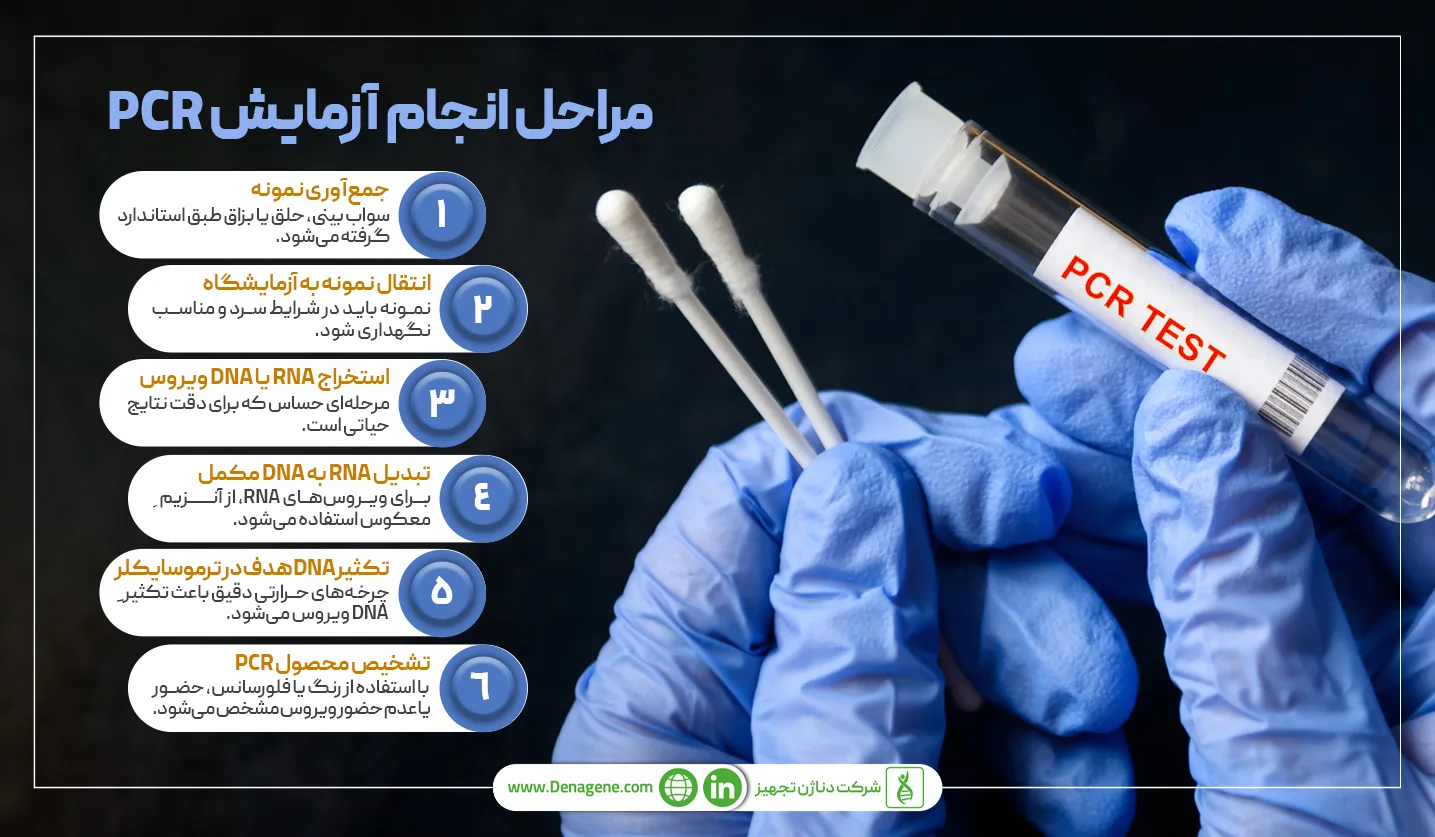 مراحل انجام آزمایش PCR