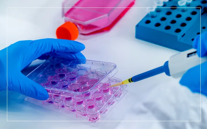 Advancing the Genetic Code: Incorporating Novel Amino Acids to Enhance Protein Engineering Capabilities